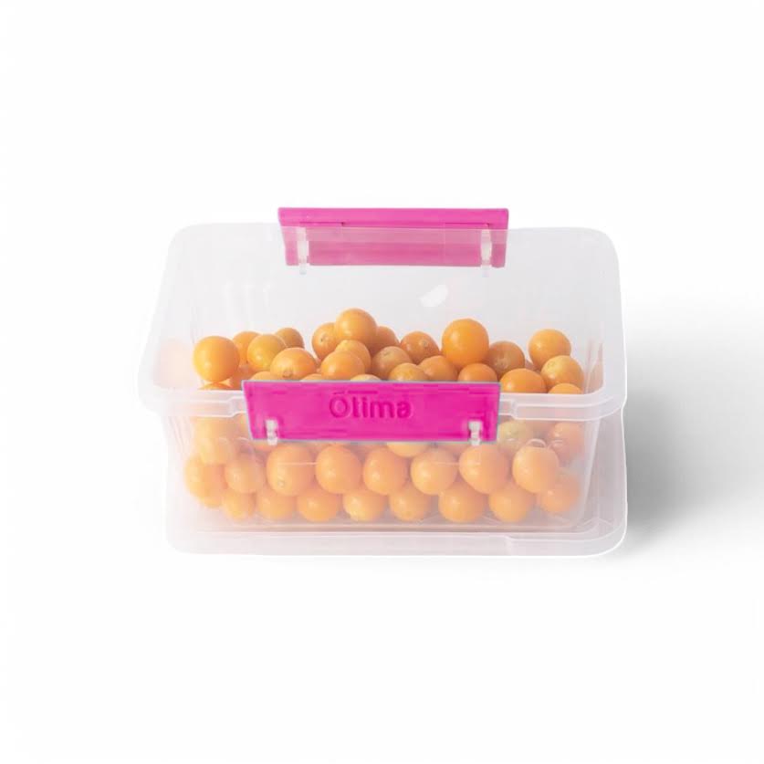 Otima 6 Piece 600ml Lock Box Set Pink