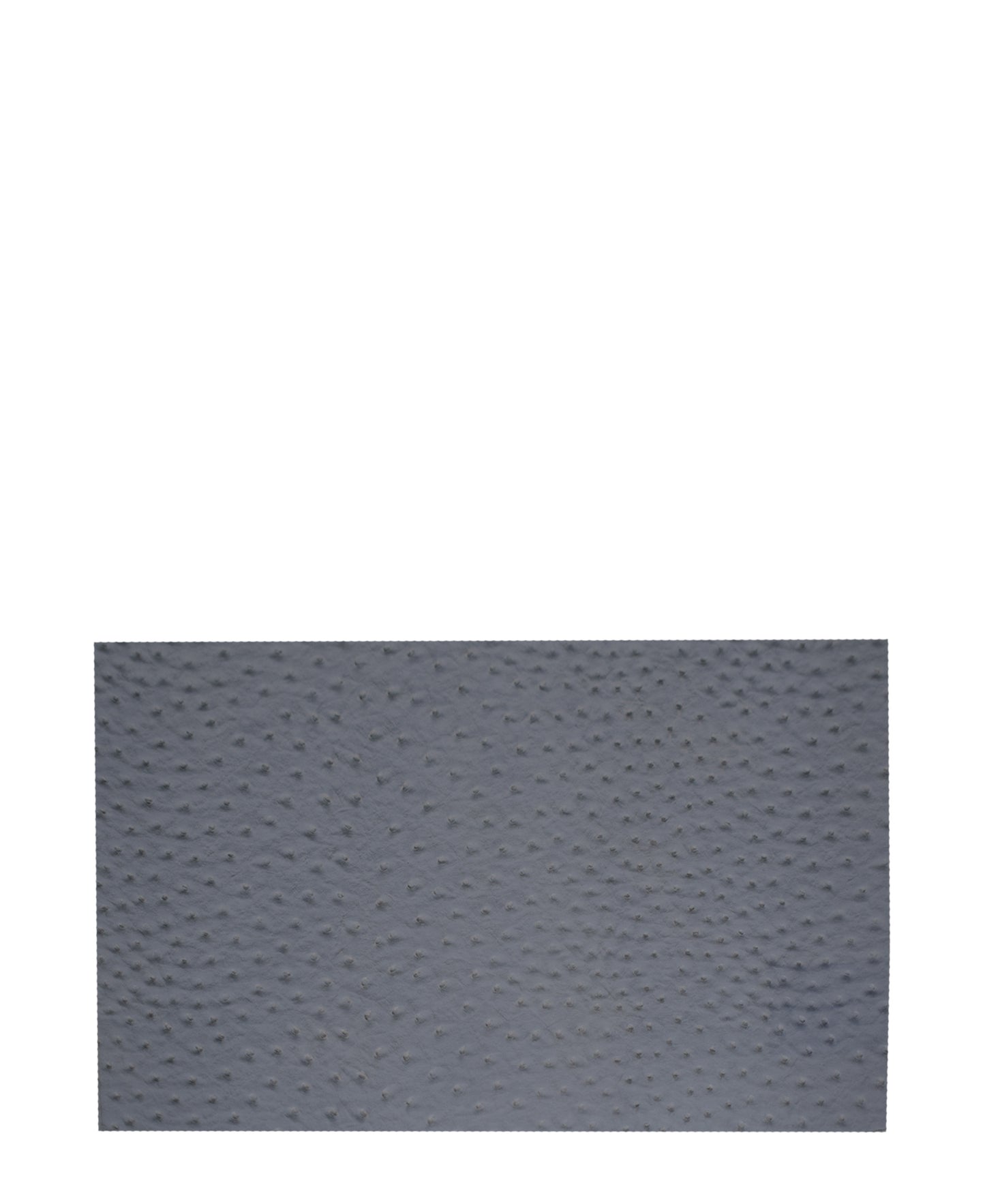 Ostrich Placemat 43x30cm - Grey