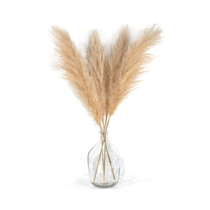 Urban Decor Tall Fluffy Pampas Grass Brown