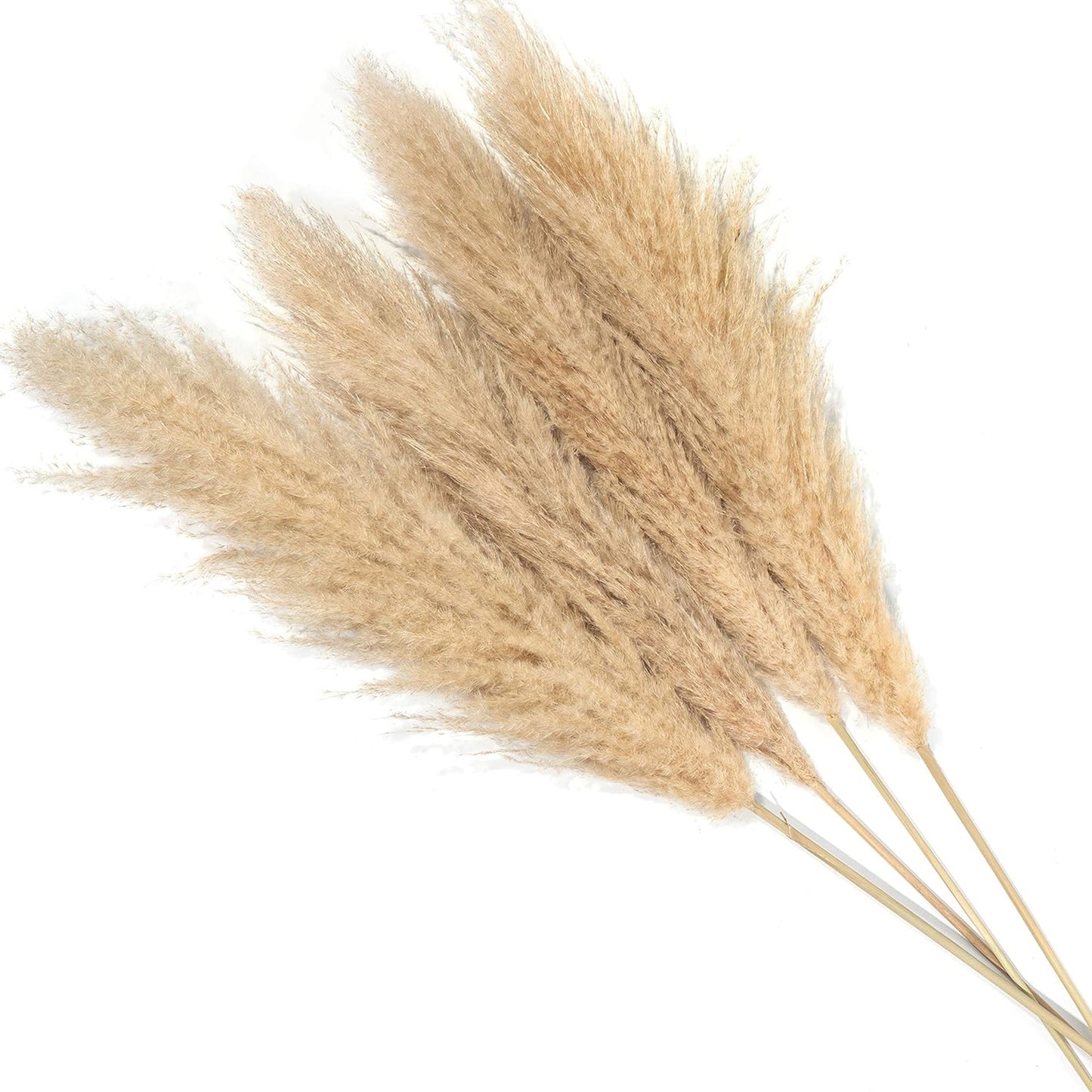 Urban Decor Tall Fluffy Pampas Grass Brown