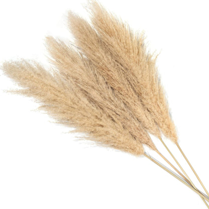 Urban Decor Tall Fluffy Pampas Grass Brown