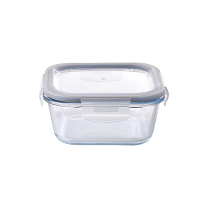 Aqua 520ml Glass Food Container Clear