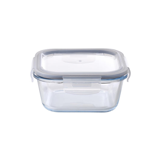 Aqua 520ml Glass Food Container Clear