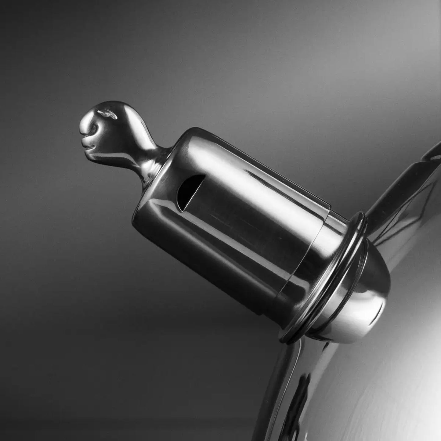 Carrol Boyes Diver Stovetop Kettle Silver