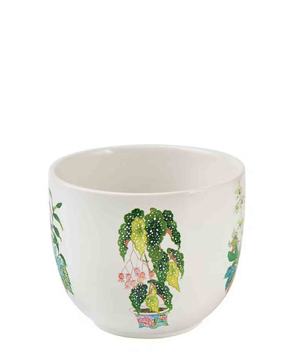 Maxwell & Williams Gabby Malpas Jardin Orchid Planter Pot - White