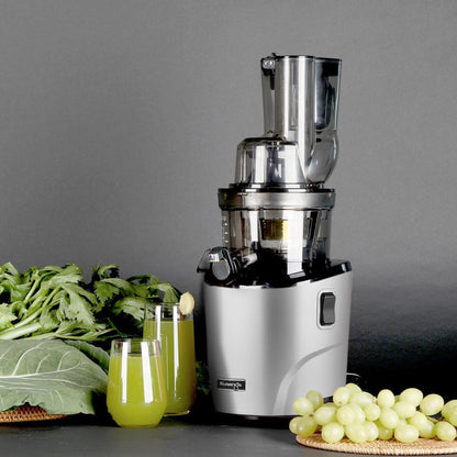 Kuvings Cold Press Slow Juicer Light Silver