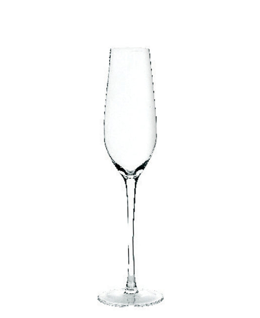 Murano 200ml Champagne Glass - Clear