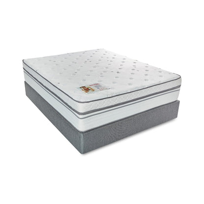 Rest Assured Cambridge Queen Bed With MJ Base