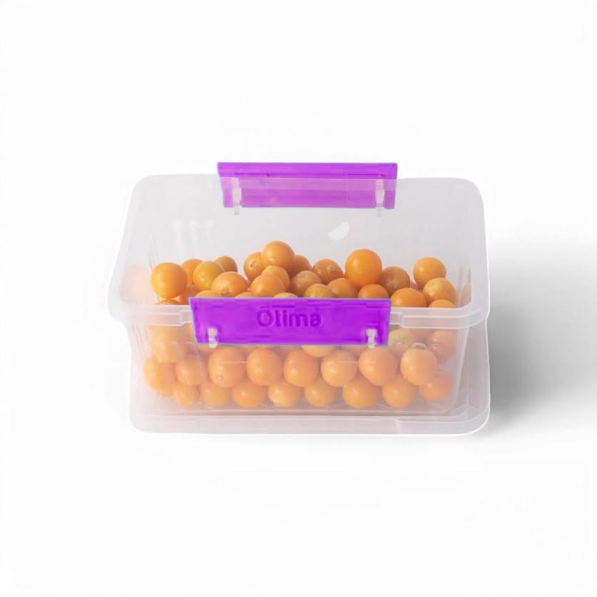 Otima 6 Piece 600ml Lock Box Set Purple