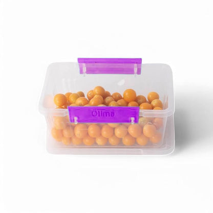 Otima 6 Piece 600ml Lock Box Set Purple