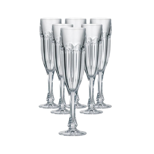 Bohemia 6 Piece Crystal Safari Champagne Glass Set Clear