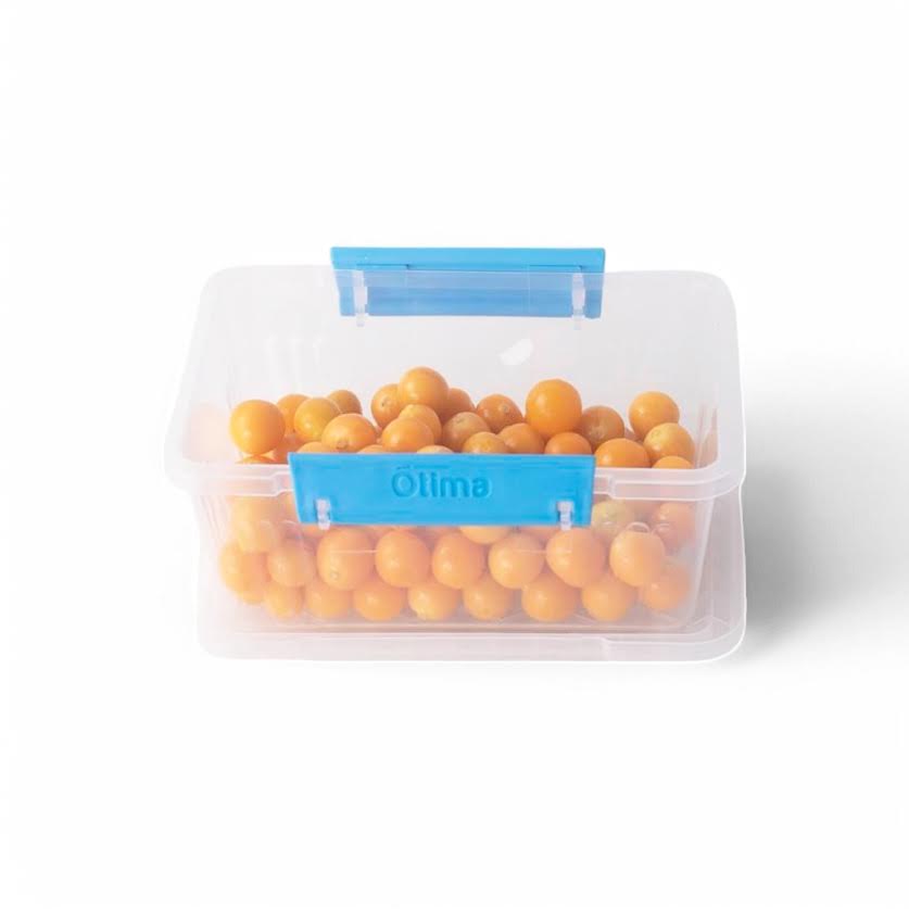 Otima 6 Piece 600ml Lock Box Set Blue