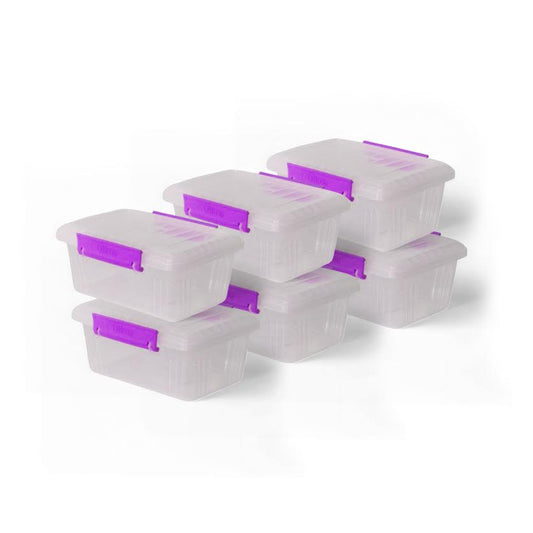Otima 6 Piece 600ml Lock Box Set Purple