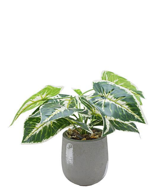 Urban Decor Ever Green Potted Plant - Green