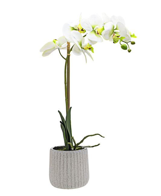 Urban Decor White Green Orchid White Pot- 48CM
