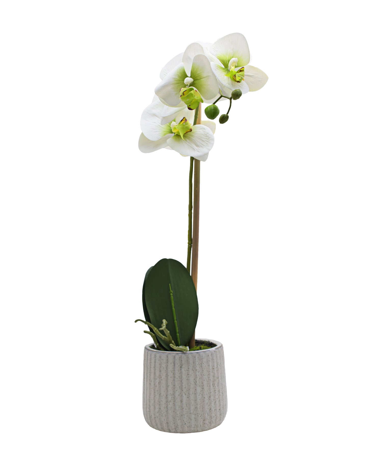 Urban Decor White Green Orchid White Pot- 48CM