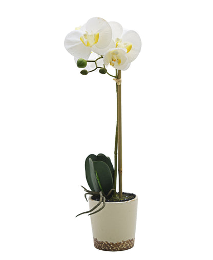 Urban Decor Two Tone Real Touch Orchid 43cm- White