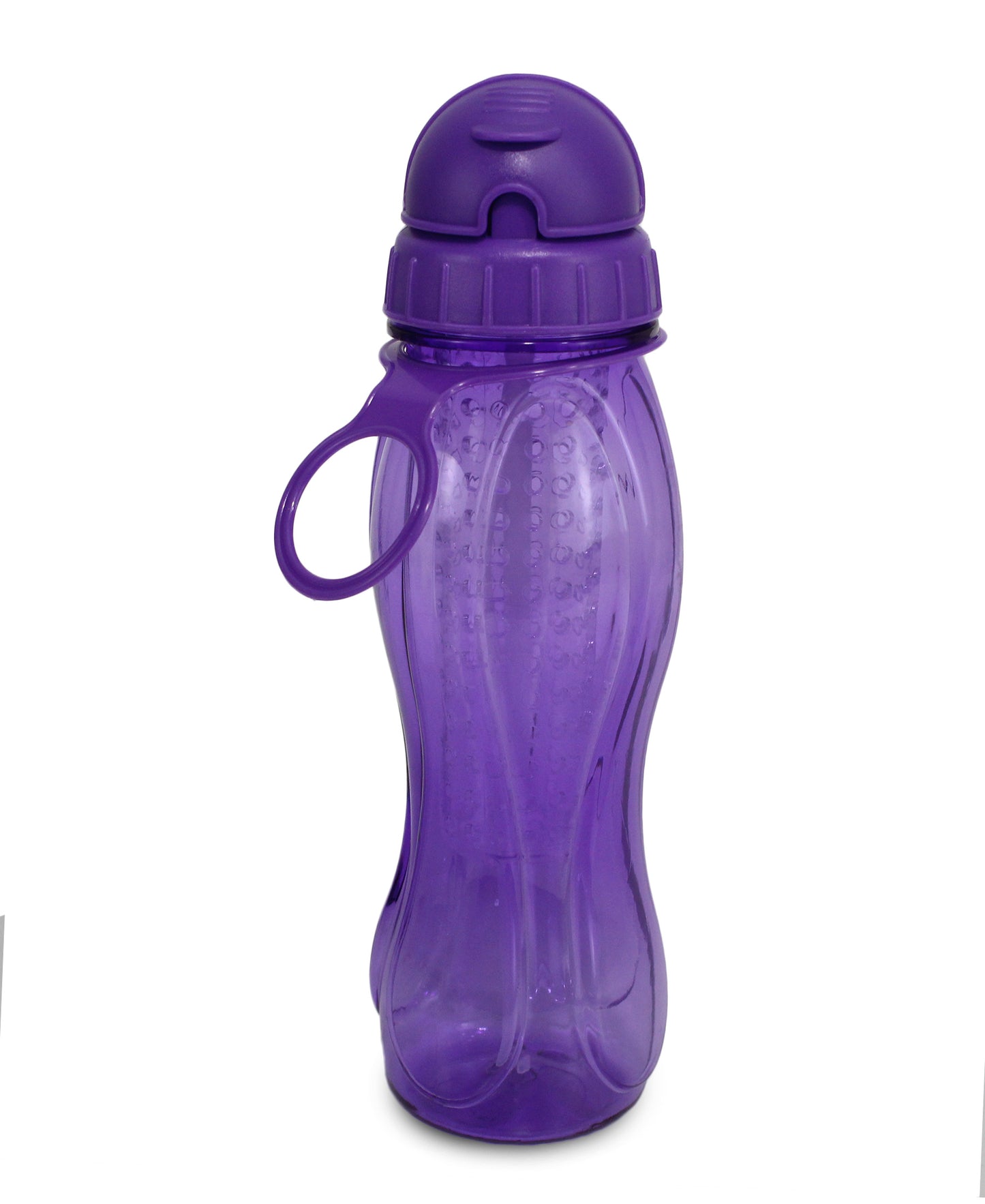 Aqua Water Bottle With Fruit Infuser - Purple