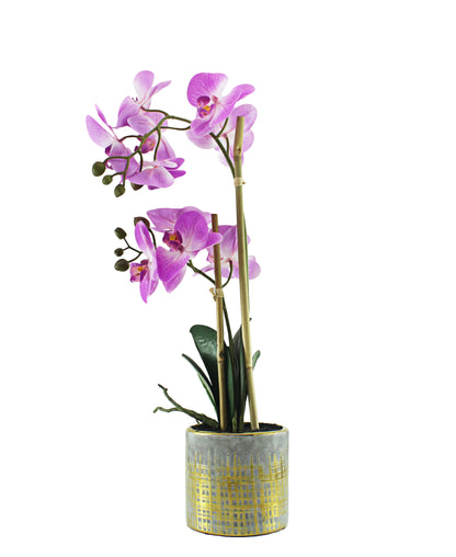 Urban Decor Orchid In Pot Plant 50CM - Pink