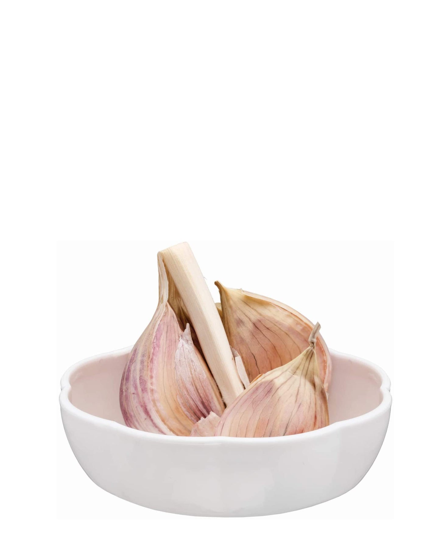 Joie Garlic Pod 8cm - Clear & White