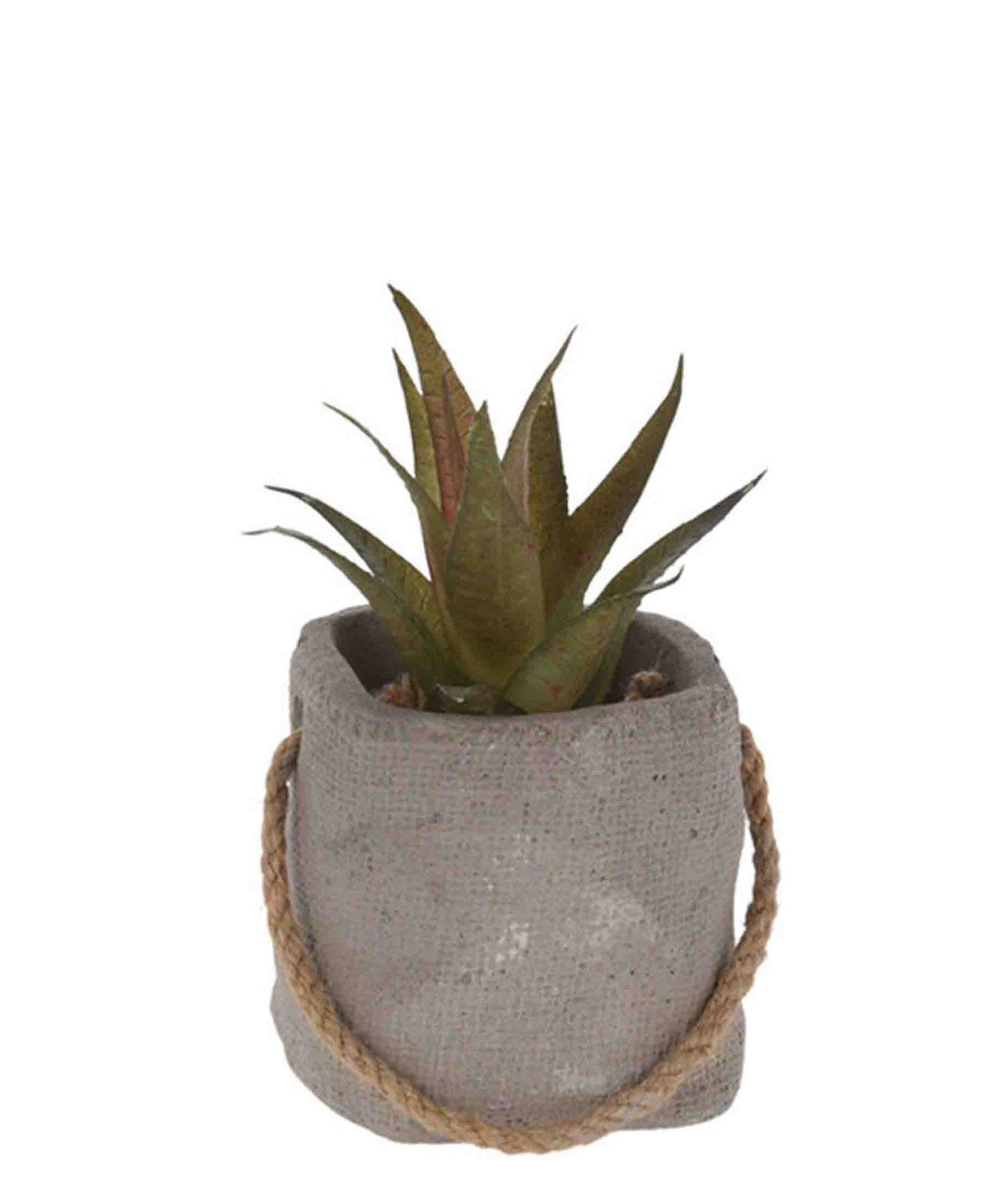 Urban Decor Fern 13cm Plant In Pot Bag - Grey