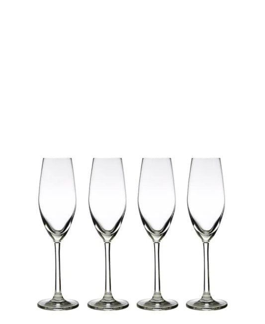 Maxwell & Williams Casa Domani Chiara 4 Piece Flute Glass - Clear