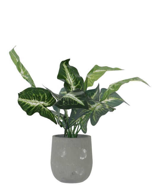 Urban Decor Evergreen Potted Plant 42cm - Green & Grey